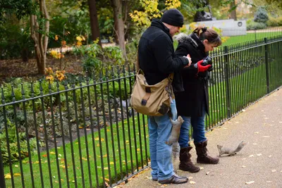 DSC_0608 (Large).JPG